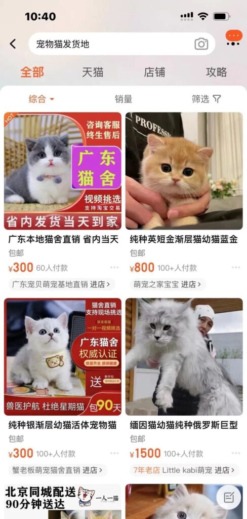 宠物中介,一单利润最高4位数! 宠物中介,一单利润最高4位数!