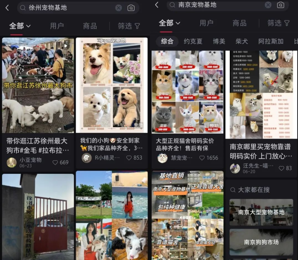 宠物中介,一单利润最高4位数! 宠物中介,一单利润最高4位数!