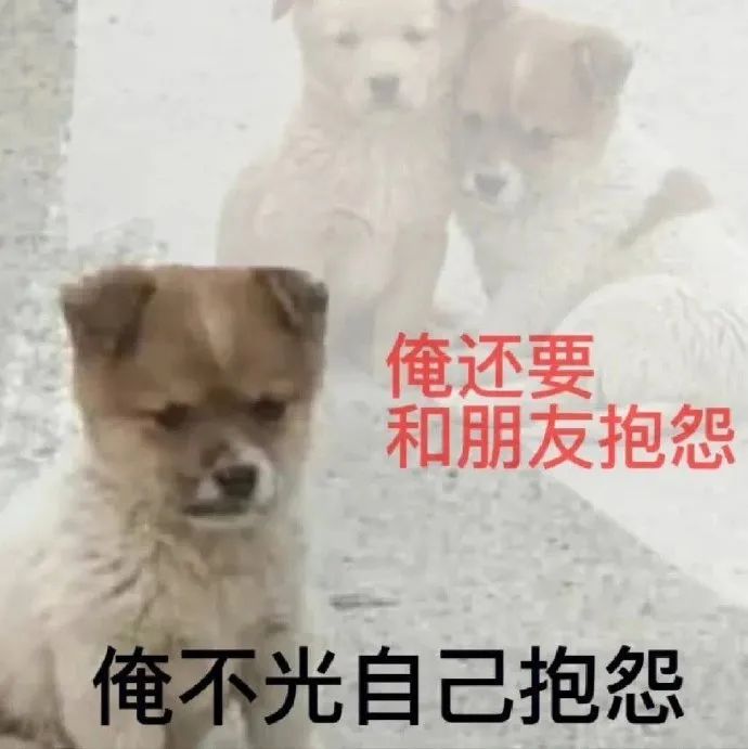 年轻人的5个离谱副业 年轻人的5个离谱副业