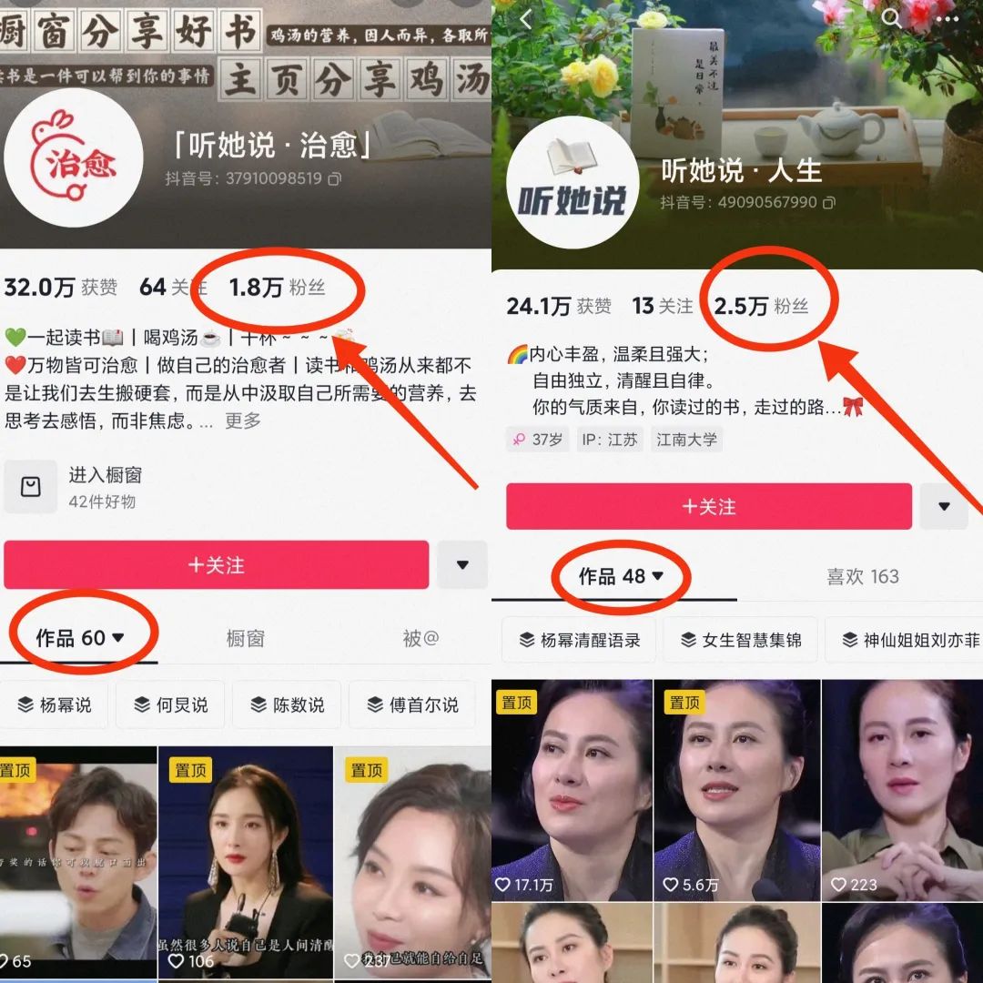 【项目拆解】听,她们在说,自带热度和流量,月入十万无上限 【项目拆解】听,她们在说,自带热度和流量,月入十万无上限