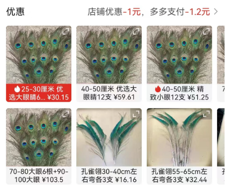 100元养一只,养一年赚30万?一个冷门的养殖项目! 100元养一只,养一年赚30万?一个冷门的养殖项目!