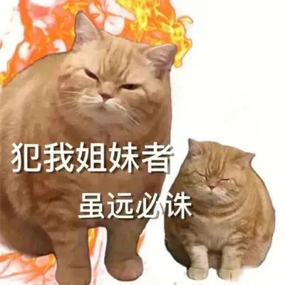 我身边的副业女生,只求看了不眼红