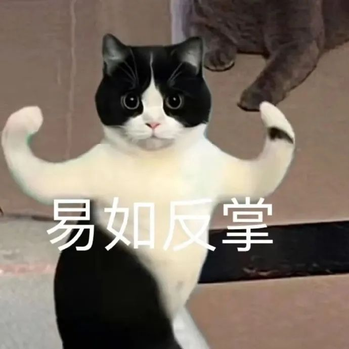 我身边的副业女生,只求看了不眼红