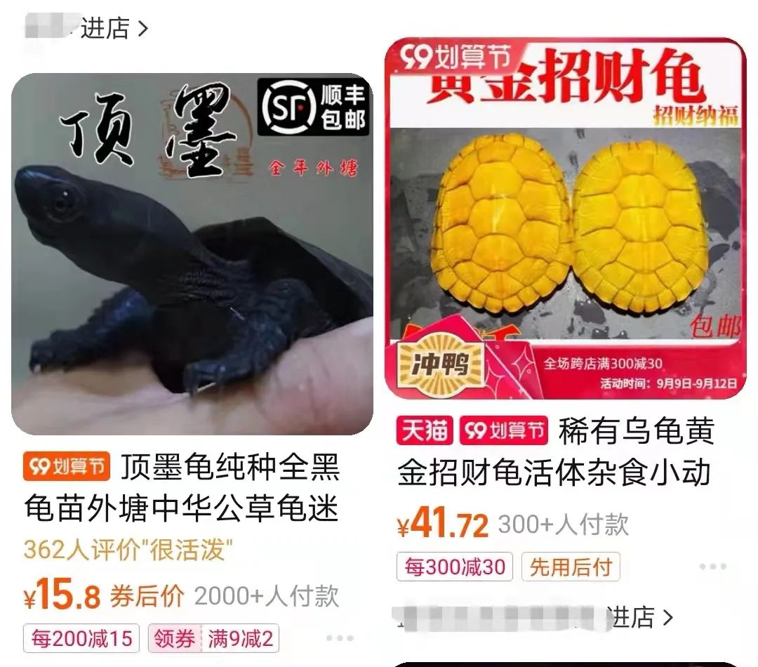 6000元买,半年后卖2万,不起眼的小项目,闷声发大财! 6000元买,半年后卖2万,不起眼的小项目,闷声发大财!