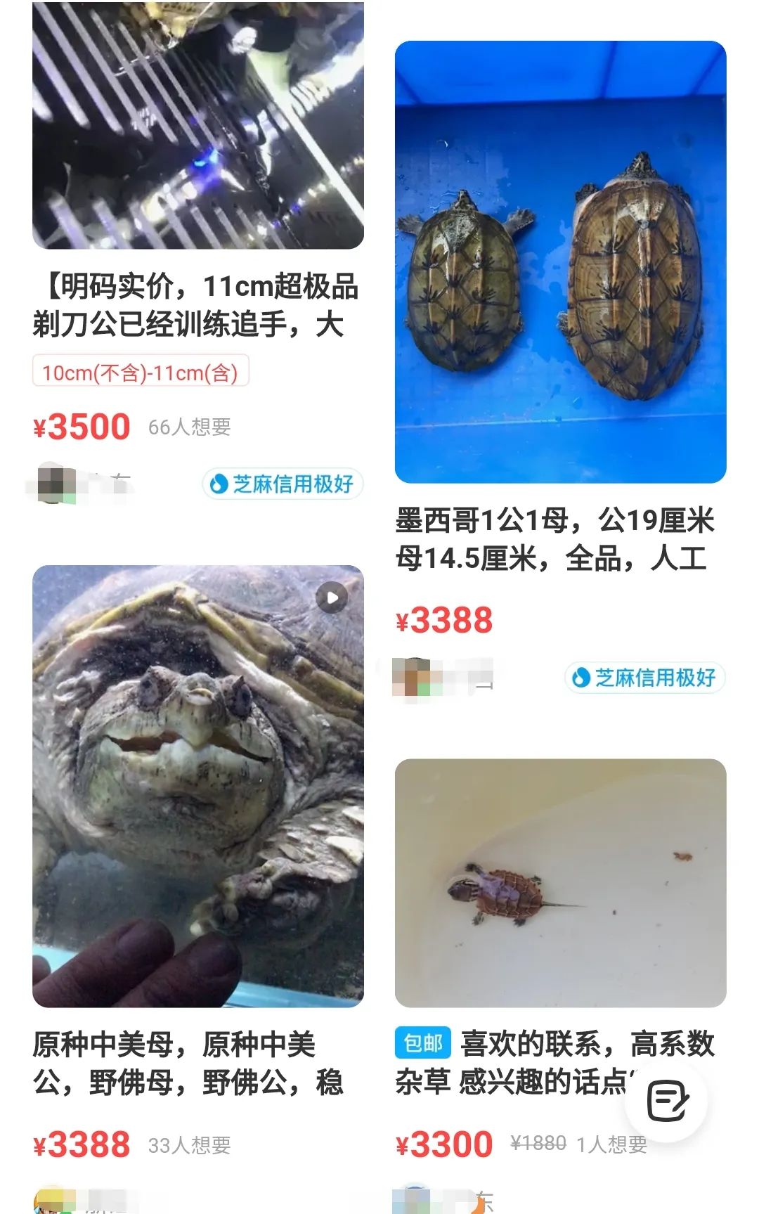 6000元买,半年后卖2万,不起眼的小项目,闷声发大财! 6000元买,半年后卖2万,不起眼的小项目,闷声发大财!