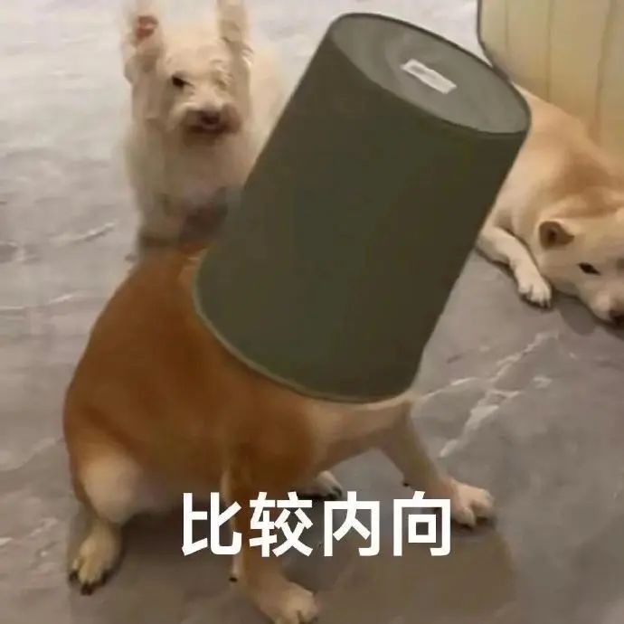 这三个证,一考到就有钱! 这三个证,一考到就有钱!